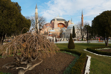 Hagia Sophia (Ayasofya) museum ,view from the Sultan Ahmet Park in Istanbul, Turkey