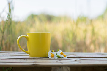 Coffee espresso background in garden.