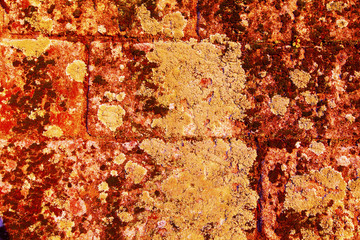 Old wall in red tones