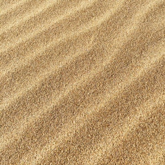 Sand on the beach.,%