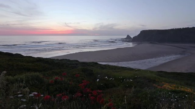 Pink sunset ocean scenery with flowers in front and summer Odeceixe beach (Aljezur, Algarve, Portugal).
