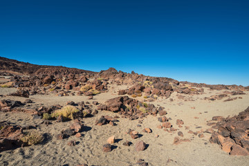 Fototapeta na wymiar Teide national park desertic landscape, Tenerife, Canary islands