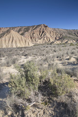 Bardenas Reales Park; Navarre