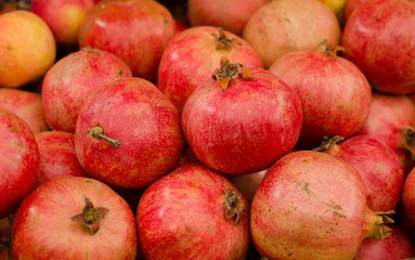 Fototapeta na wymiar Group of pomegranates. Pomegranate closeup, background