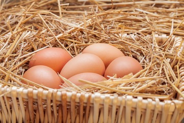 The eggs laid with hay.