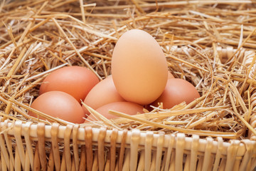 The eggs laid with hay.