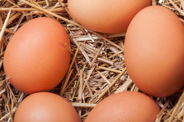 The eggs laid with hay.