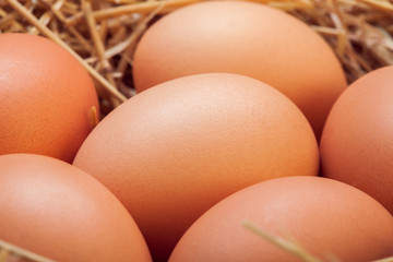 The eggs laid with hay.