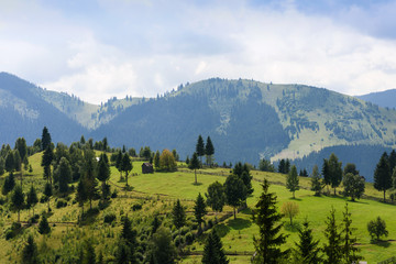 Fototapeta na wymiar Mountain landscape in bucovina with green fields, pines and a small house, romania