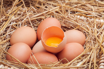 The eggs laid with hay.