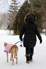 promenade en hiver