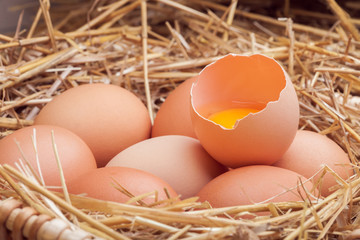 The eggs laid with hay.