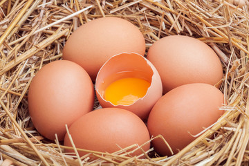 The eggs laid with hay.