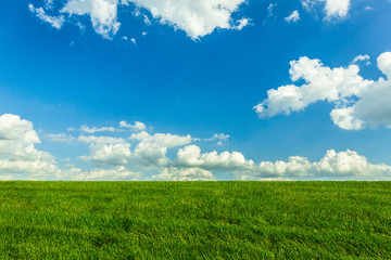 Obraz premium grass field with blue sky and clouds