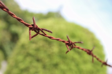 close up rusty and grunge barbed wire. Select focus with shallow