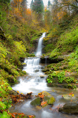 beautiful waterfall in the forest