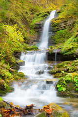 Obraz premium beautiful waterfall in the forest