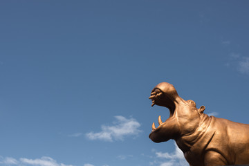 hippopotames dans le ciel