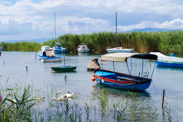 Fototapeta na wymiar Boats in the reeds of Lake Ohrid