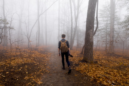 Man hiking alone in foggy forest