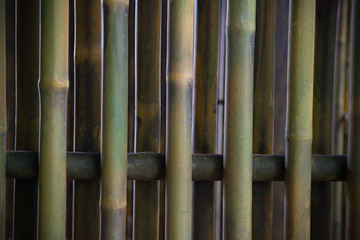bamboo fence background