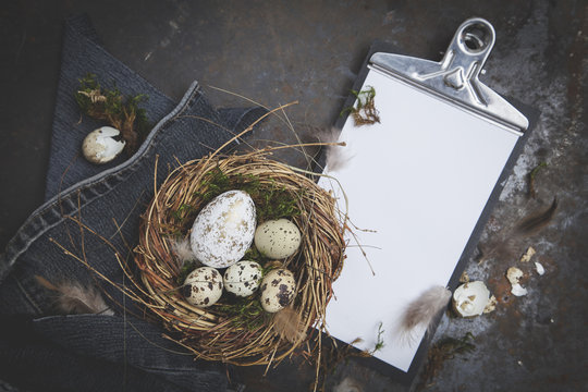 Oster Dekoration mit Nest und Ei auf dunklem Hintergrund