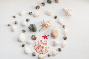 Marine composition. red star.