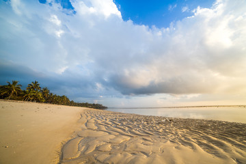 Fototapeta na wymiar Paradise beach with white sand and palms