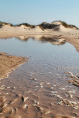 Dunes on the beach of Los Caños de Meca, on the coasts of the province of Cadiz, Spain