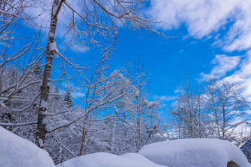 Winter, Schnee und blauer himmel - Verschneite Winterlandschaft
