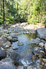 Waterfall trough in the forest