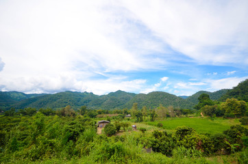 Fototapeta na wymiar Aussicht auf den Dschungel in Chiang Mai, Thailand