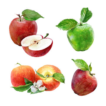 Set of watercolor green and red apples on a white background. Sliced fruit.  Peeled half apple.  Red apple illustration. 
