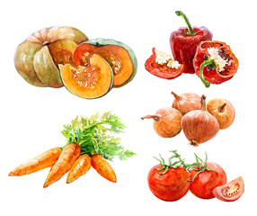 Set of watercolor vegetables onion, paprika, parrot, tomatoes, pumpkin isolated on a white background.