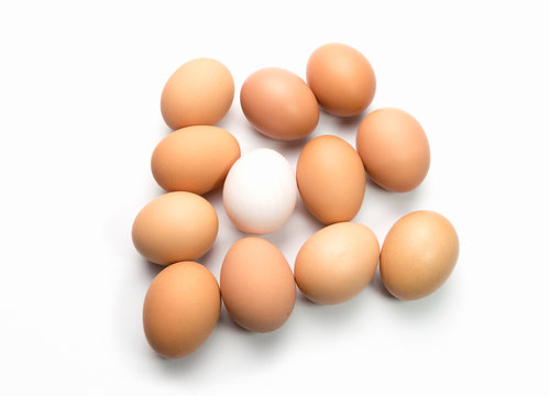 egg on white background with white egg