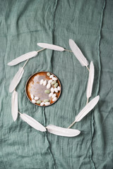 dragierte Eier mit Federn