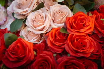 Crédence de cuisine en verre imprimé Roses Tissu Roses roses et rouges