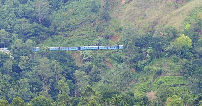 Beautiful panorama of Sri Lanka countryside with train passing tea plantations