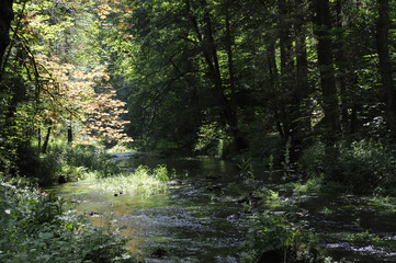 im püttlachtal