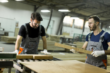 Young men working in lumber workshop