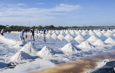 Sea salt field in Thailand