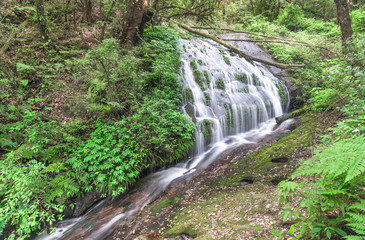 Fototapeta na wymiar Beautiful view of waterfall landscape. Waterfall in deep green forest scenery.