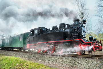 Naklejka premium Historical steam train in Rugen, Northern Germany