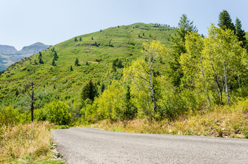 Road with forest and hills in Utah's Wasatch Range