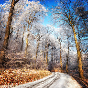 Winterlandschaft mit verschneiter Straße, Wald mit Raureif und blauem Himmel 
