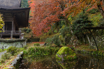 Japanese garden in autumn season