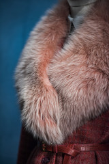 Fur detail