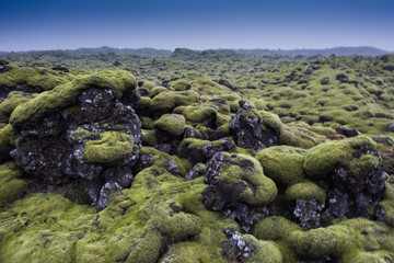 Mossy Lava Rocks