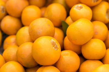 Fresh round kumquats (marumi kumquat) after harvesting