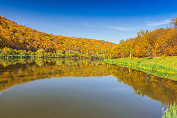 Вид на красивое озеро в осеннем лесу.
